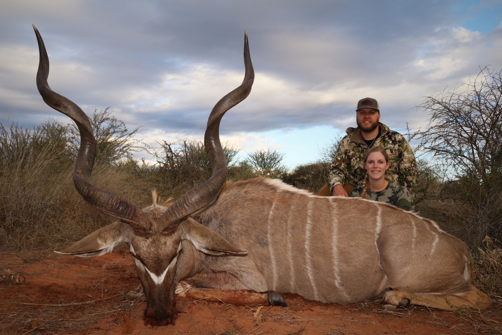 kudu couple 22.JPG