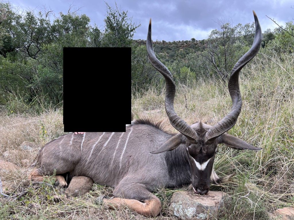 Kudu.jpg