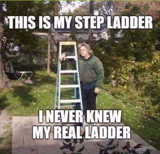 ladder meme.jpg