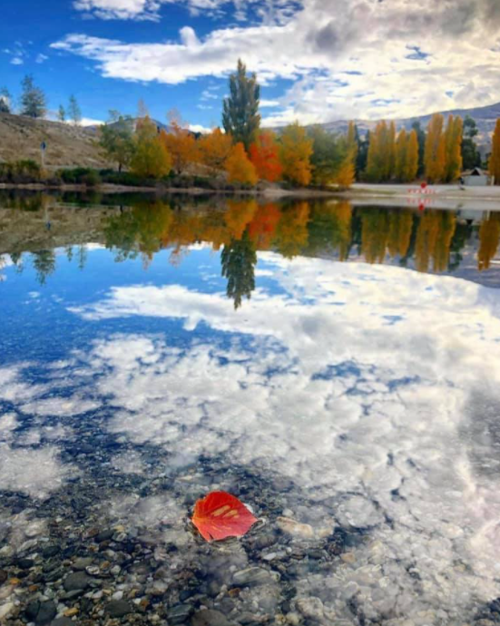 Lake Dunstan.png