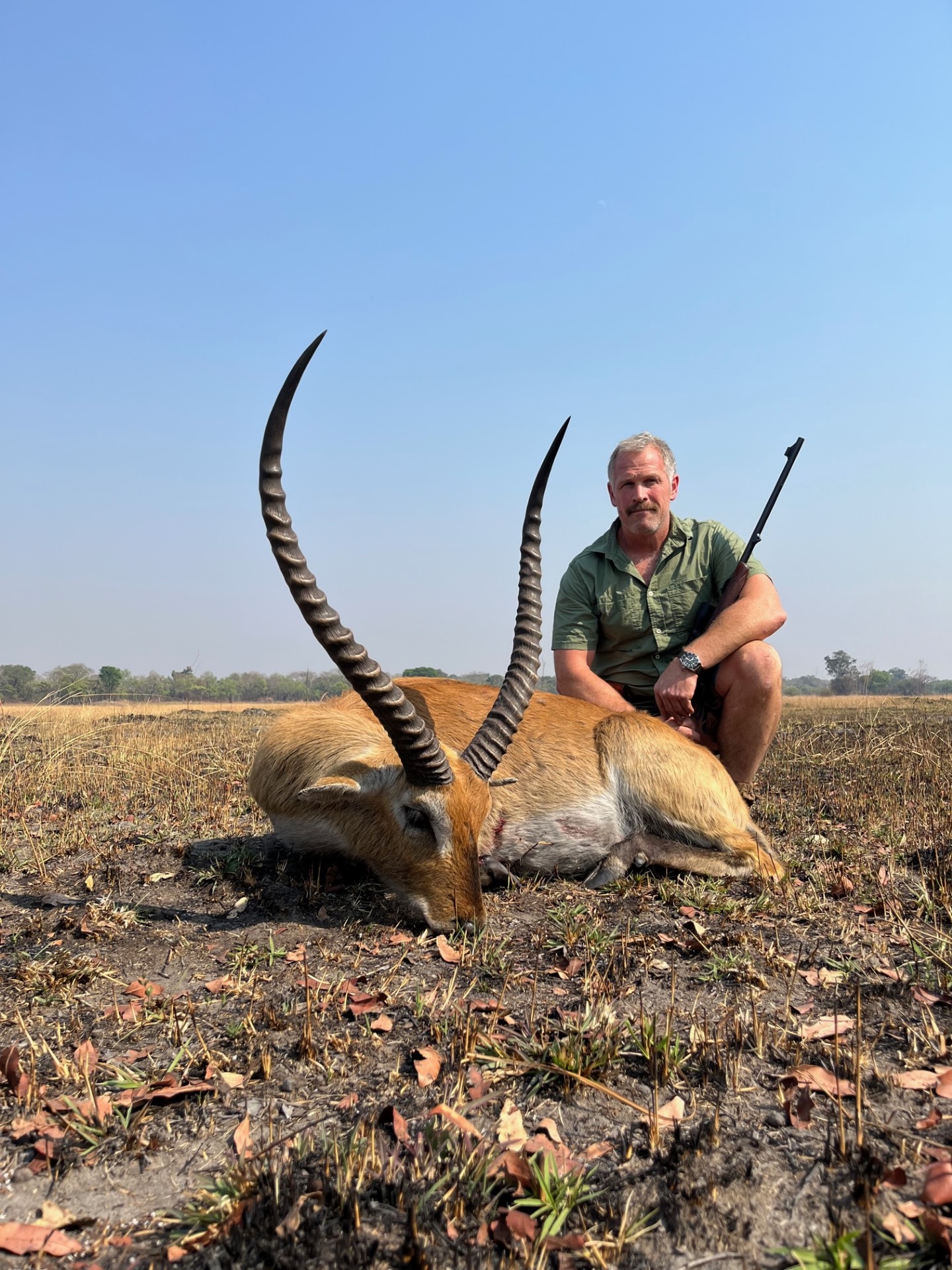 Lechwe.jpg