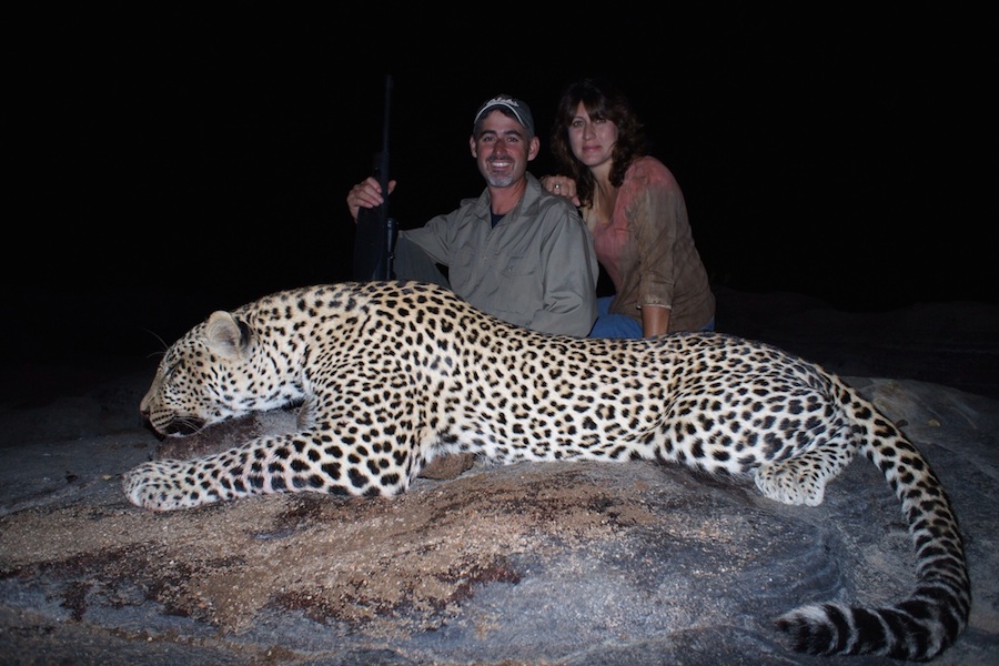 Leopard_Hunting_Khomas.jpg