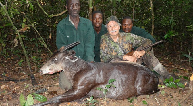 liberia-safari-yellowback-duiker.jpeg