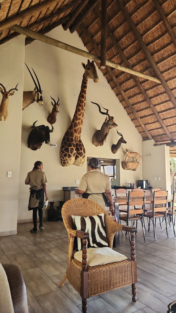 limpopo-north-safaris-04.jpg