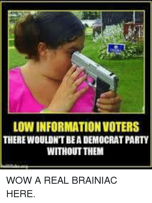 low-information-voters-tierewouldntbea-democrat-party-without-them-wow-a-21379225.png