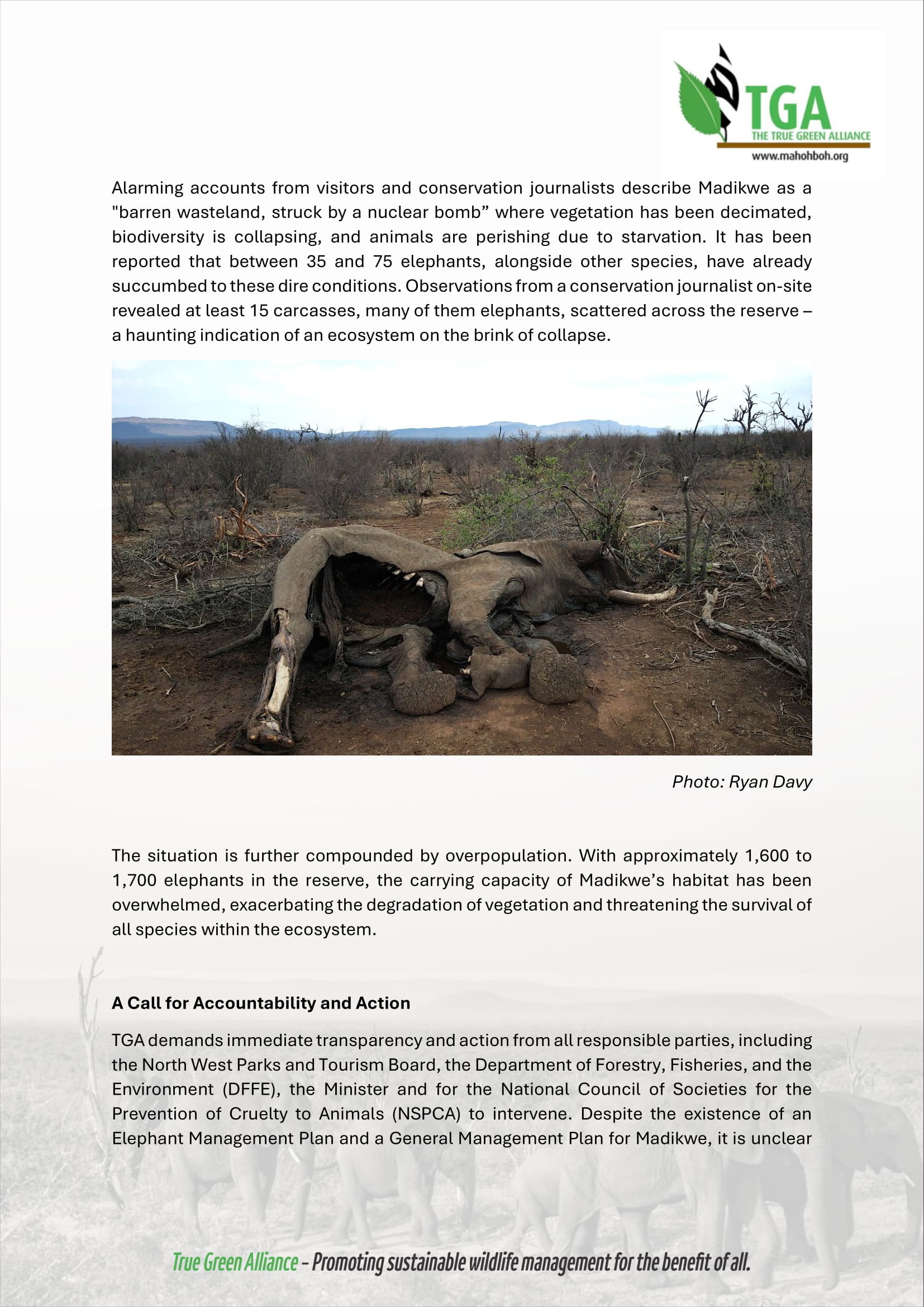 Madikwe Crisis - Press Release TGA 29112024_241201_081050-2.jpg