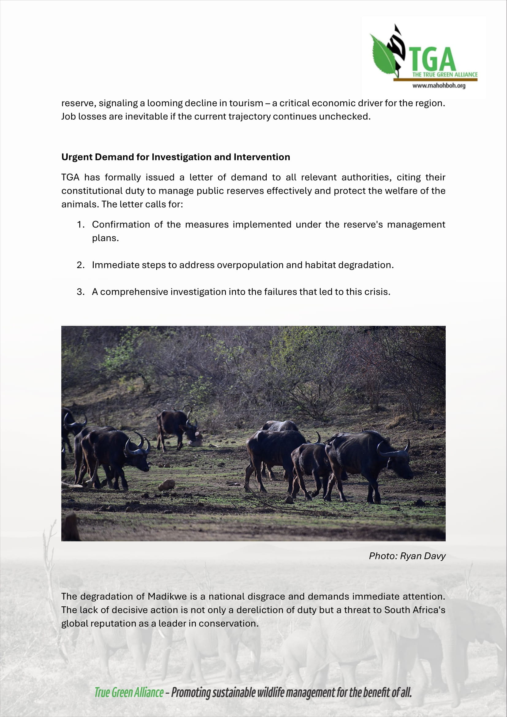 Madikwe Crisis - Press Release TGA 29112024_241201_081050-4.jpg