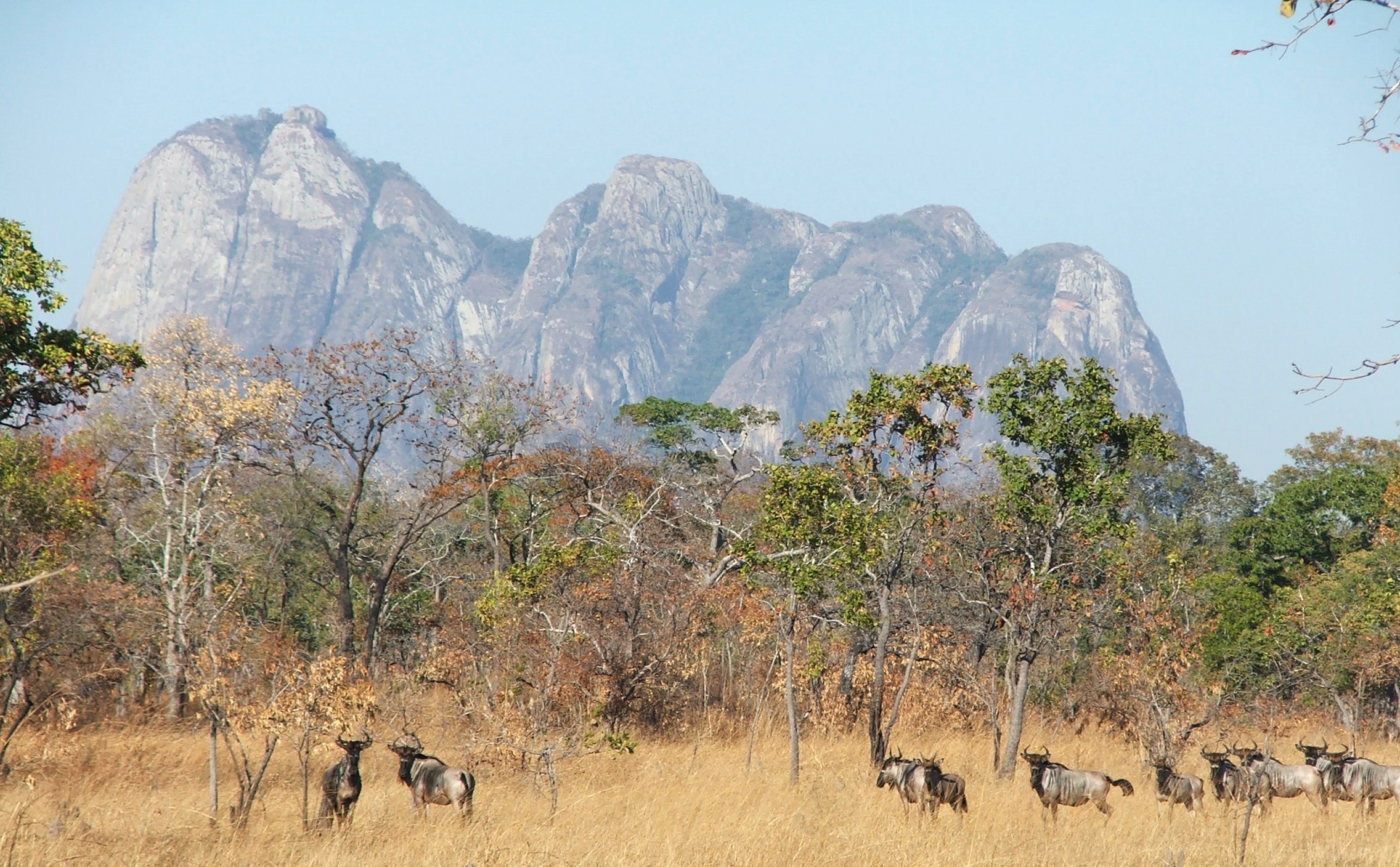 matambwe vlei.jpg