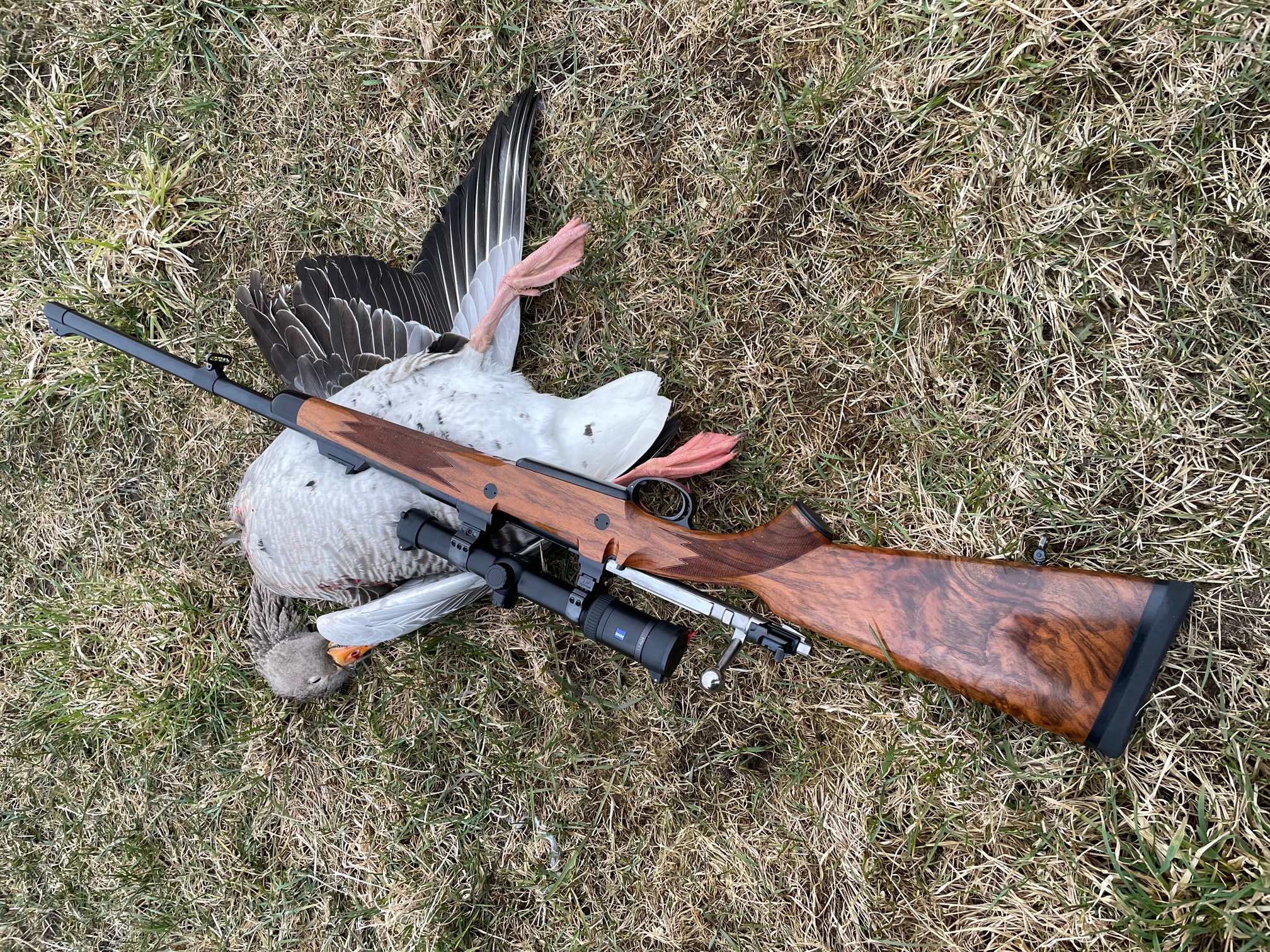 MauserM98_416Rigby_Goose1.jpg