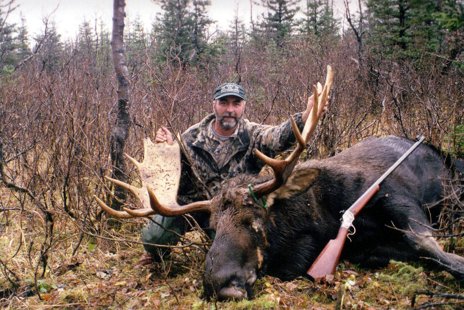 MM%20Moose%2010_2000-1-X3.jpg