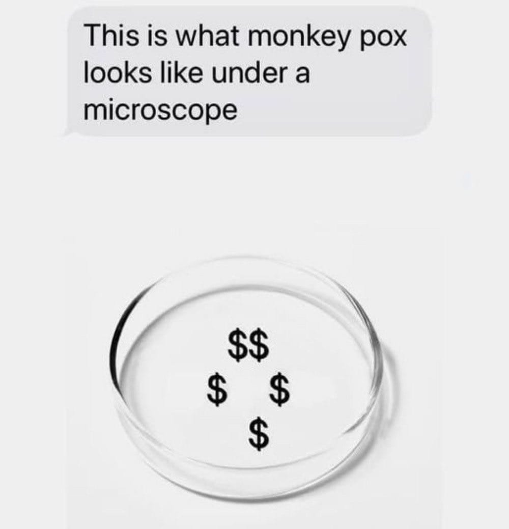 monkey_poX.jpg