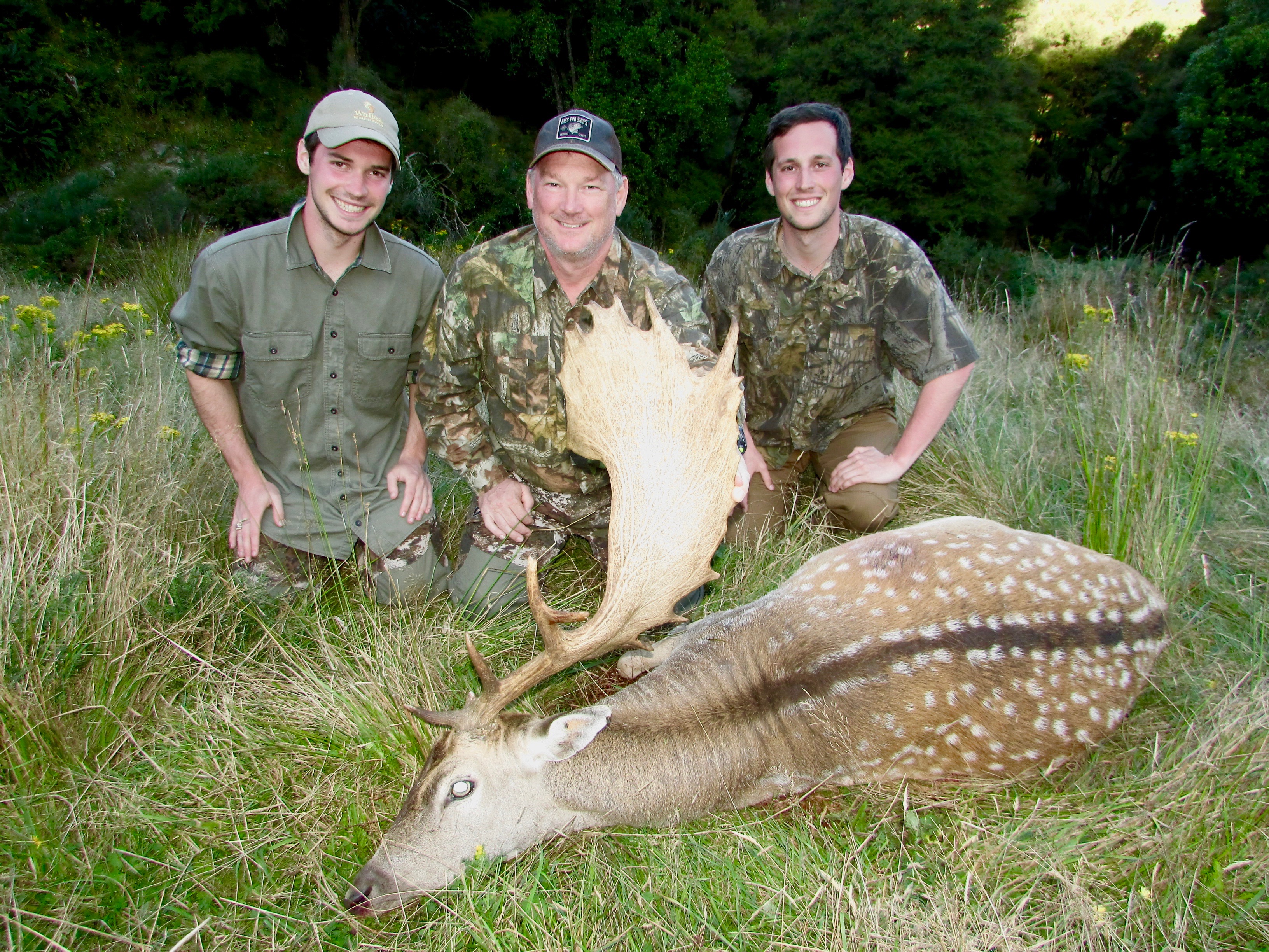 Monster Fallow Buck.jpeg