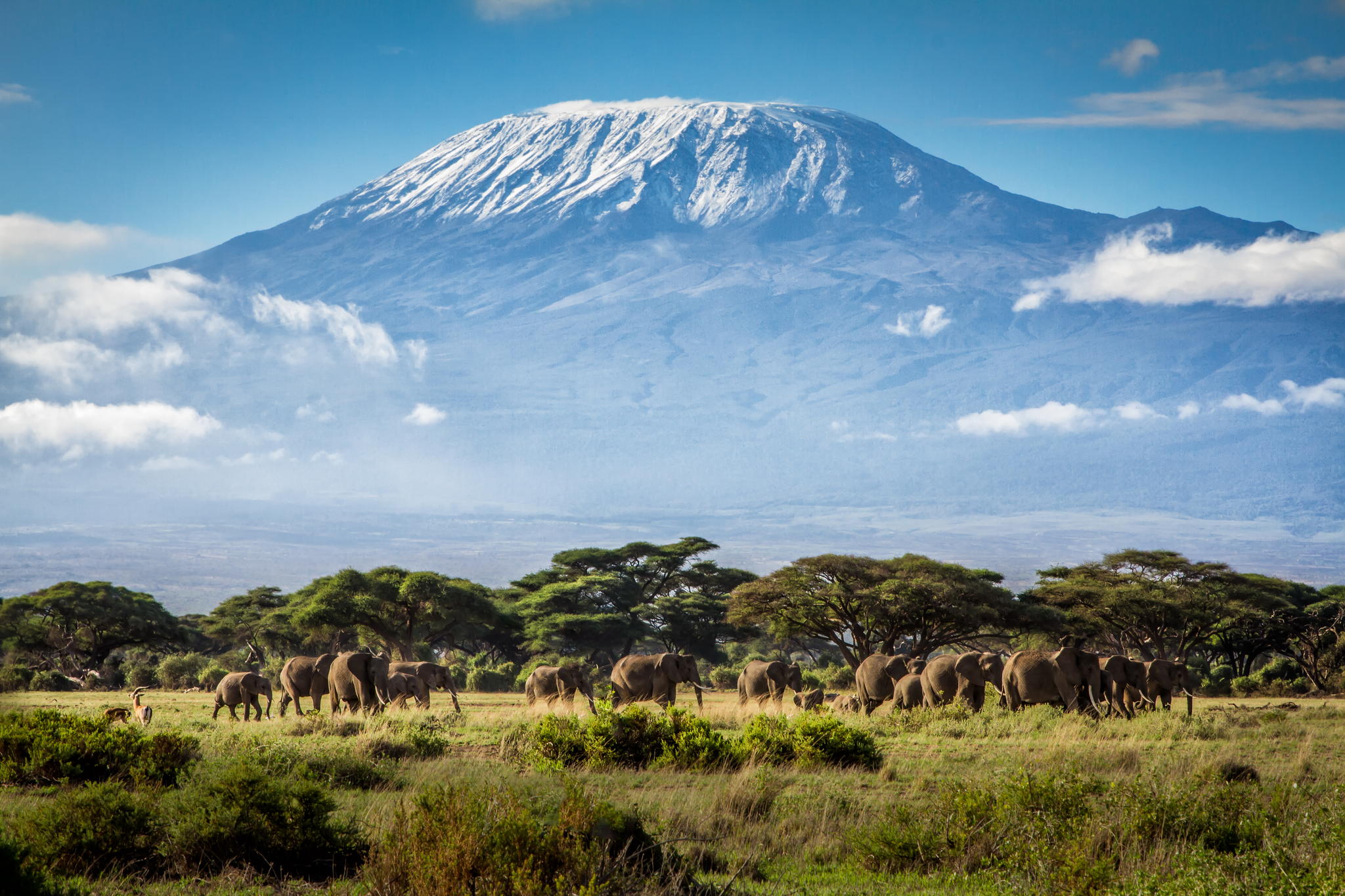 Mount-Kilimanjaro-Pictures-with-Safaris.jpg