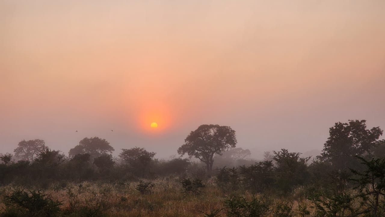 MOZAMBIQUE LANDSCAPE.jpg