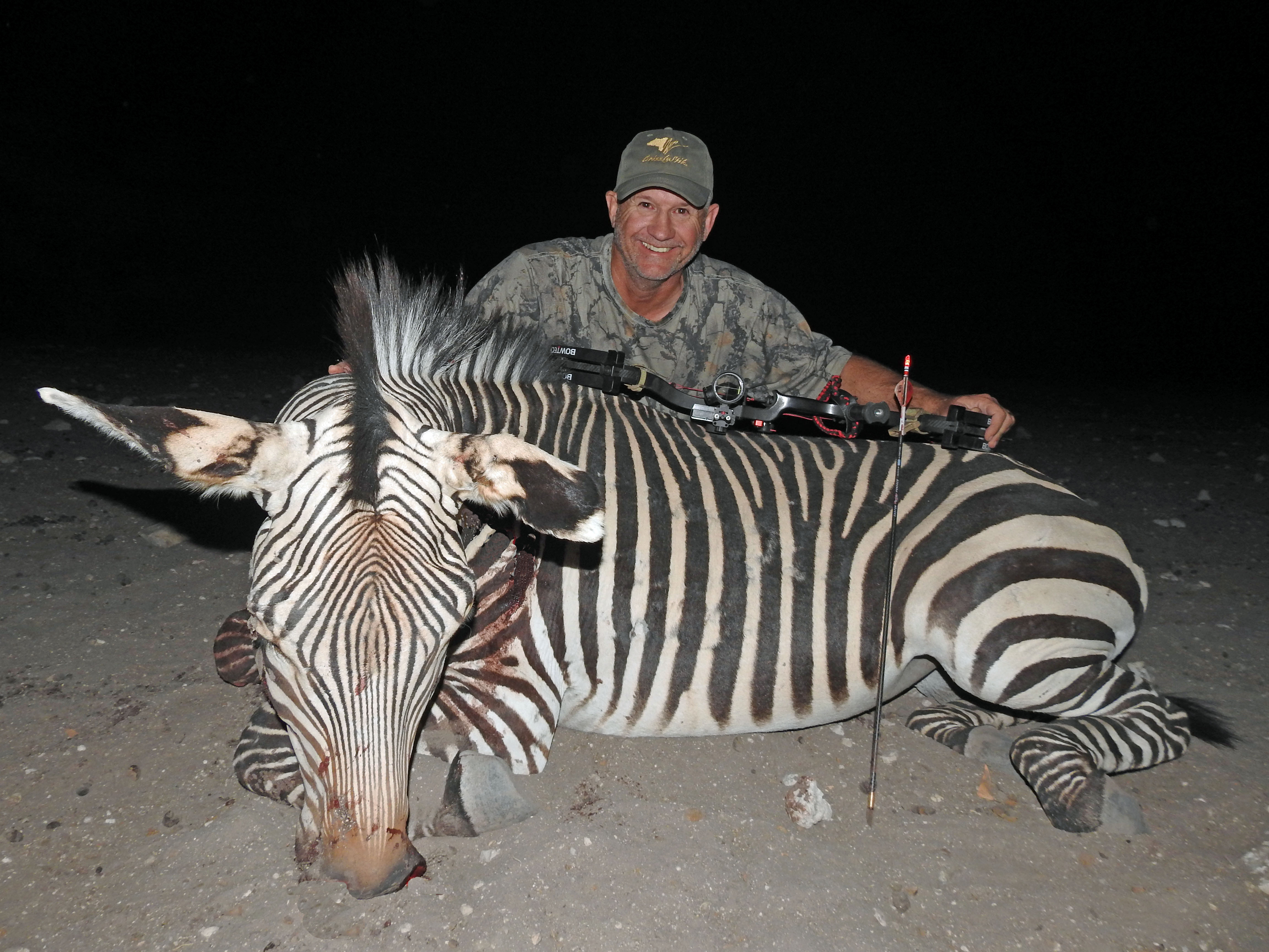 N2_14_1stzebra.jpg