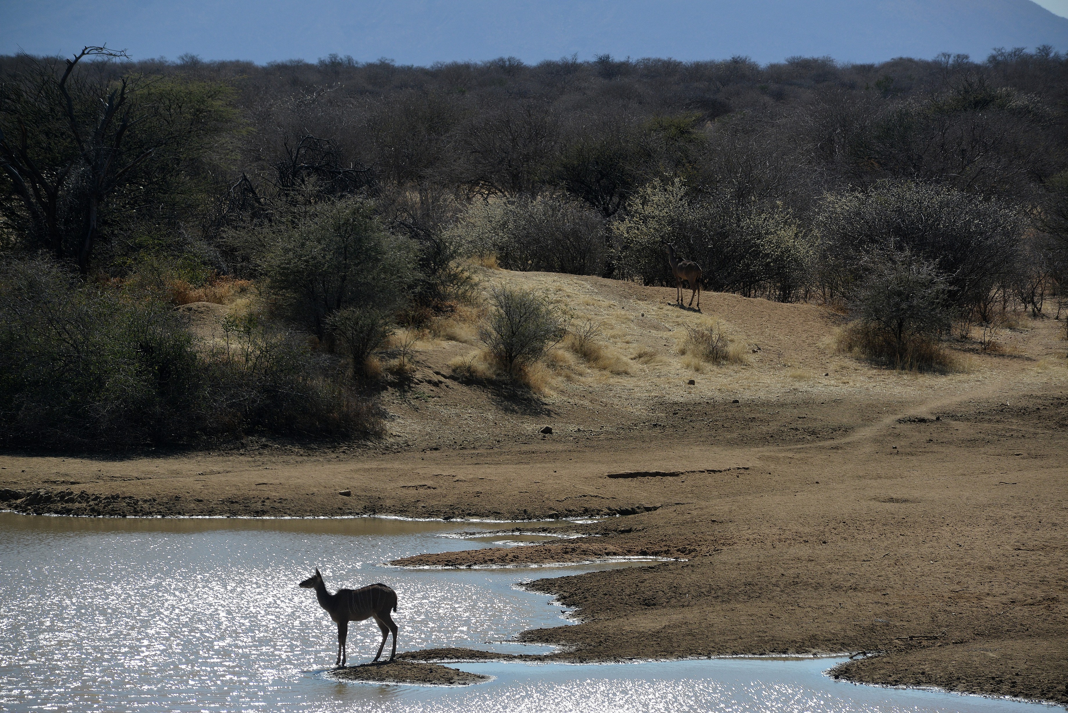 Namibia (423).JPG