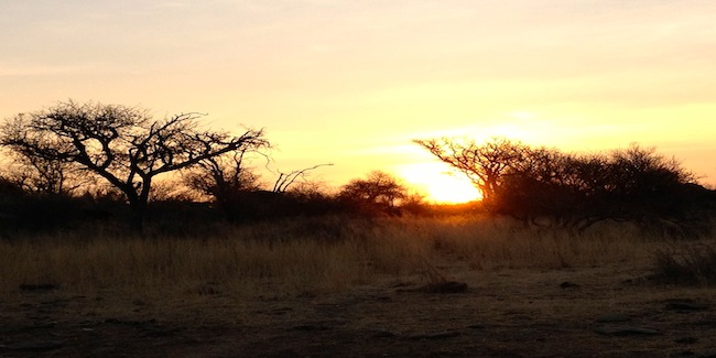 Namibia-bush-sunset.jpg