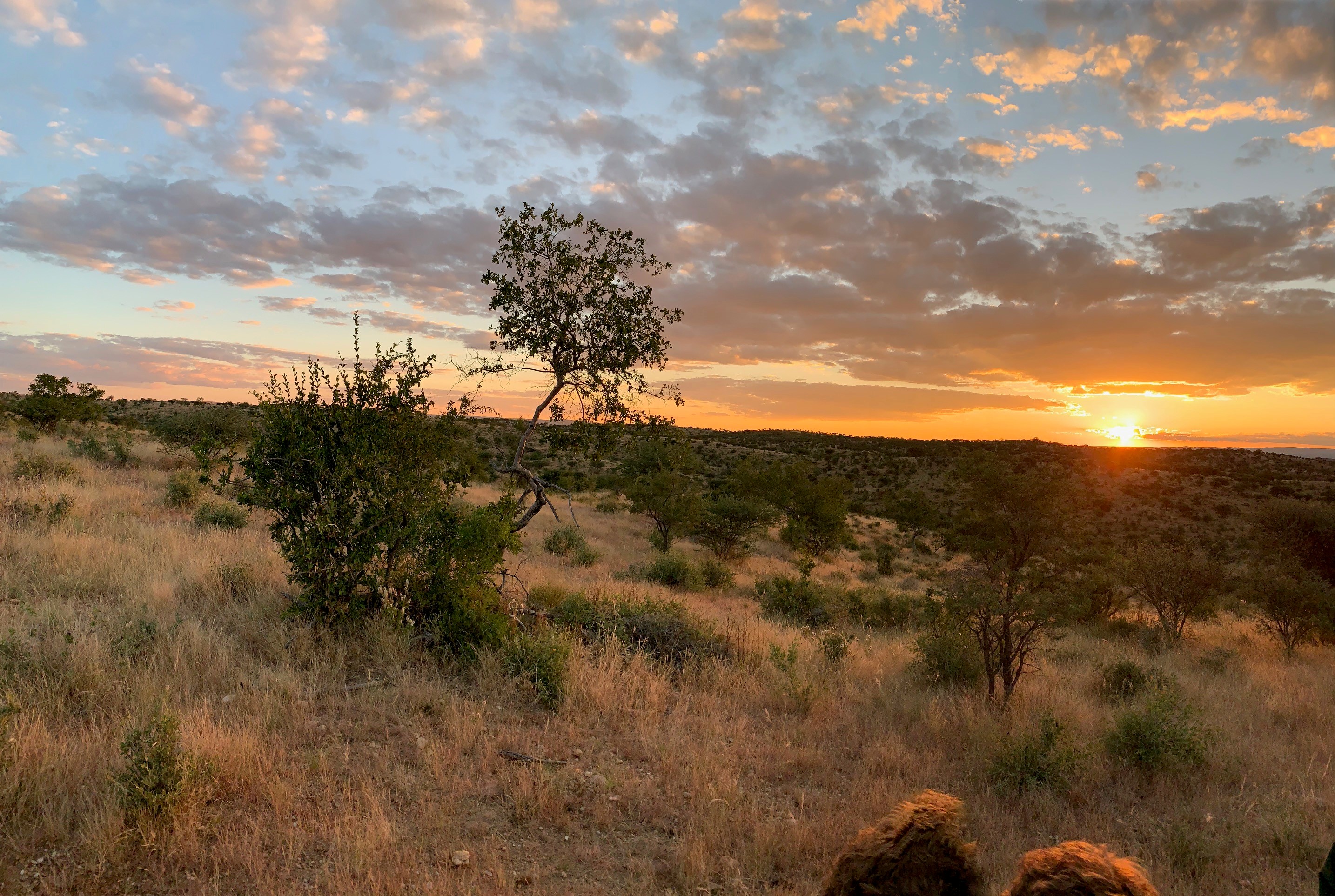 Namibia.jpg