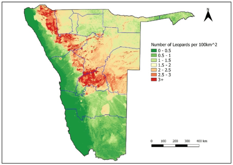 namibia-leopardsPicture1.png