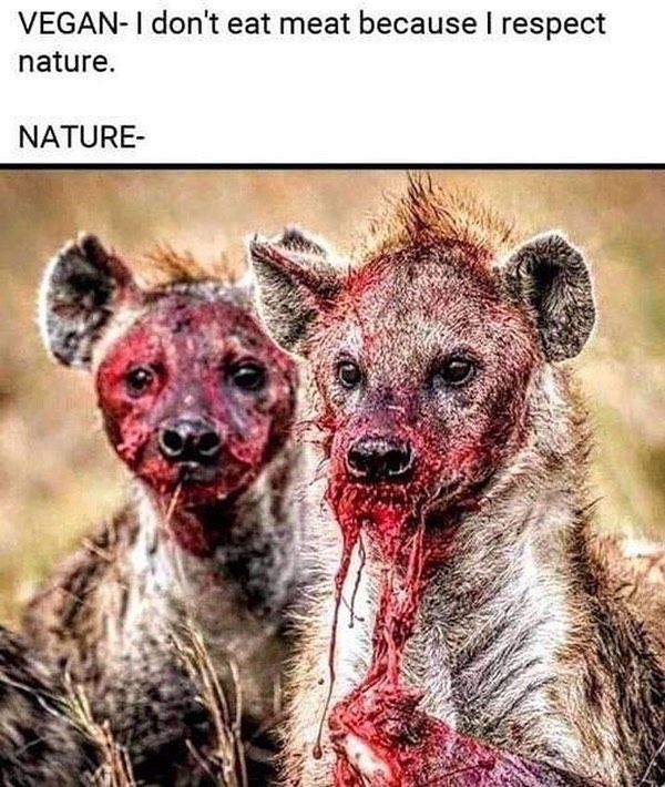 Nature.jpg