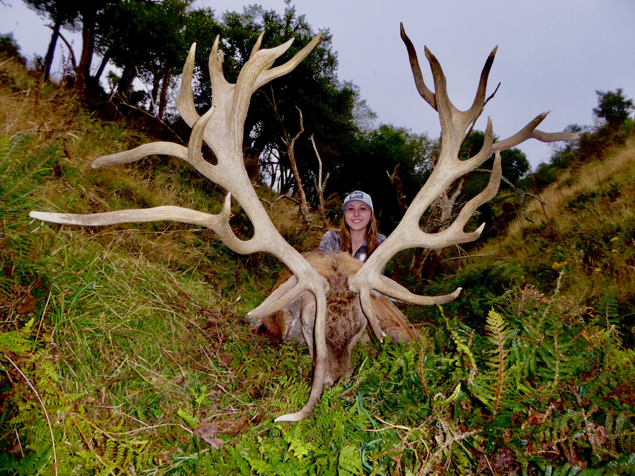 New Zealand deer 425 inches.jpeg