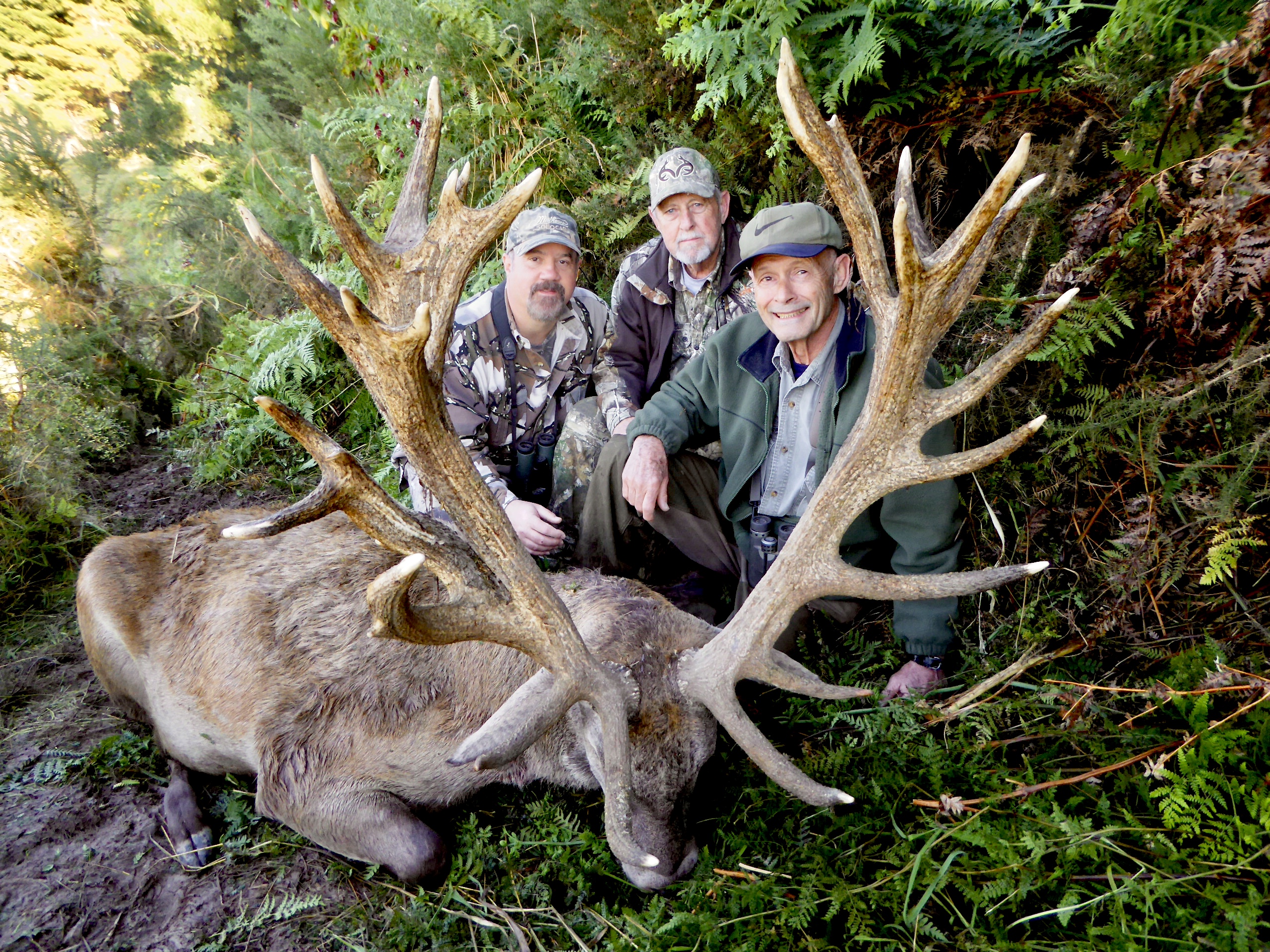 New Zealand Red Stag 403 inches.jpeg