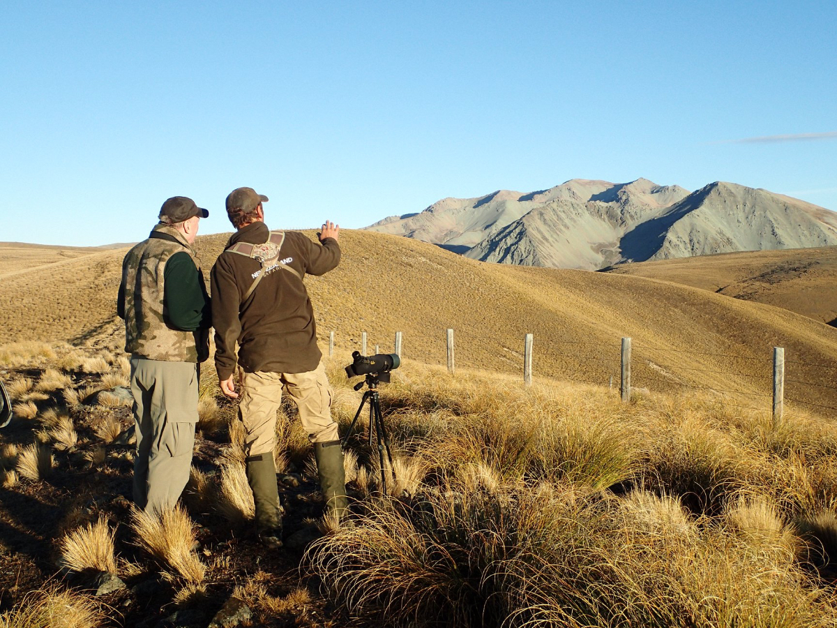 new-zealand-safaris-04.jpg