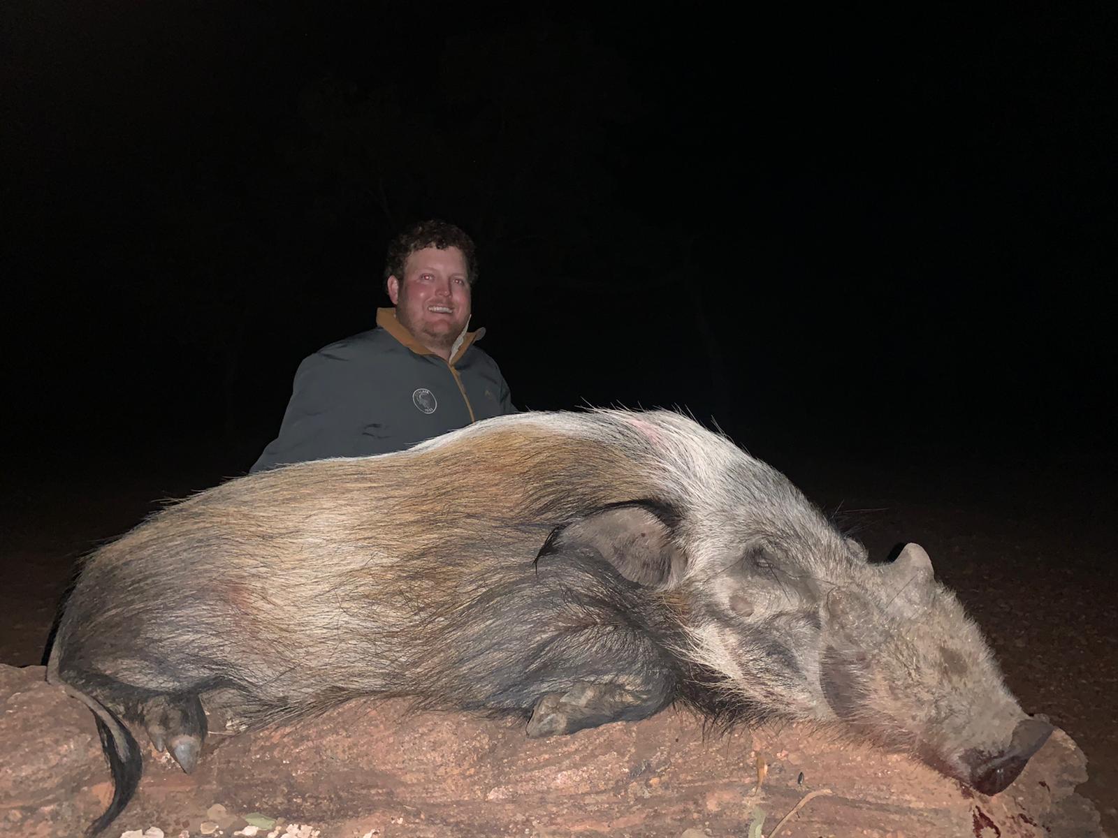 Night hunt- Bushpig- South Africa- Limpopo- Kwalata safaris.jpeg