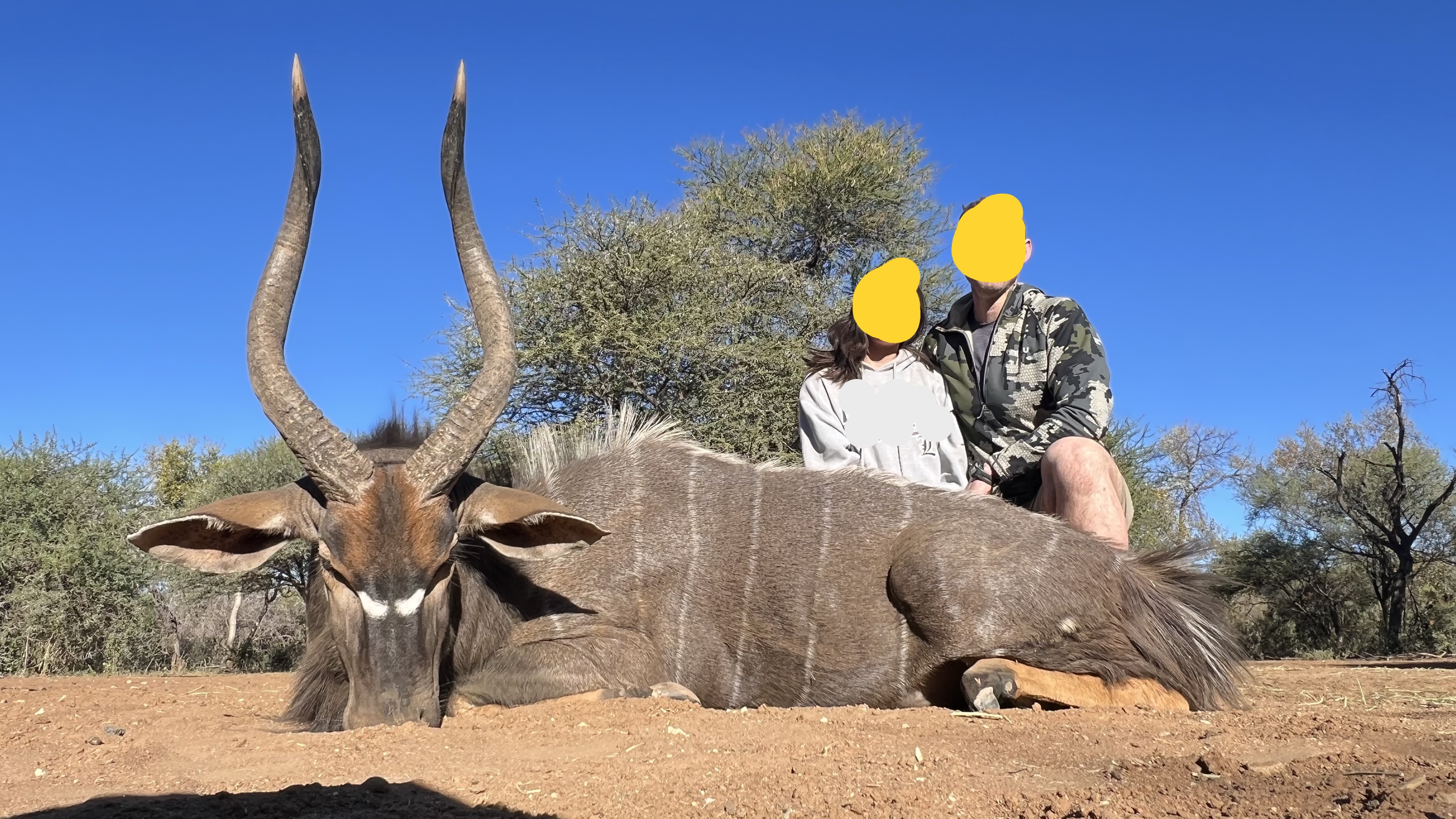 Nyala.jpg