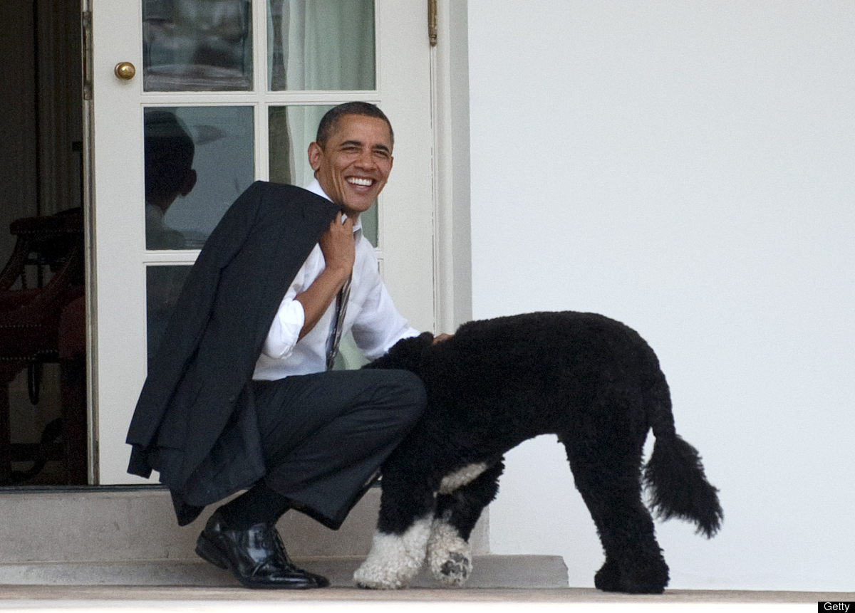 obama dog.jpg