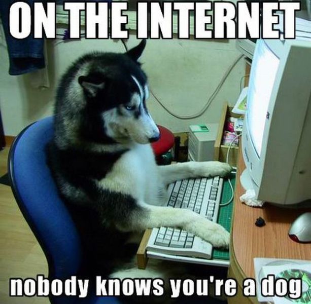 On the Internet nobody knows you're a dog.jpg