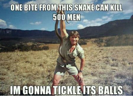 One-Bite-From-This-Snake-Can-KIll-500-Men-Funny-Snake-Meme.jpeg