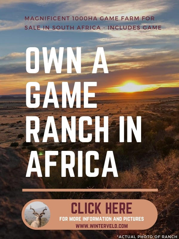 own-a-game-ranch-in-africa.jpg