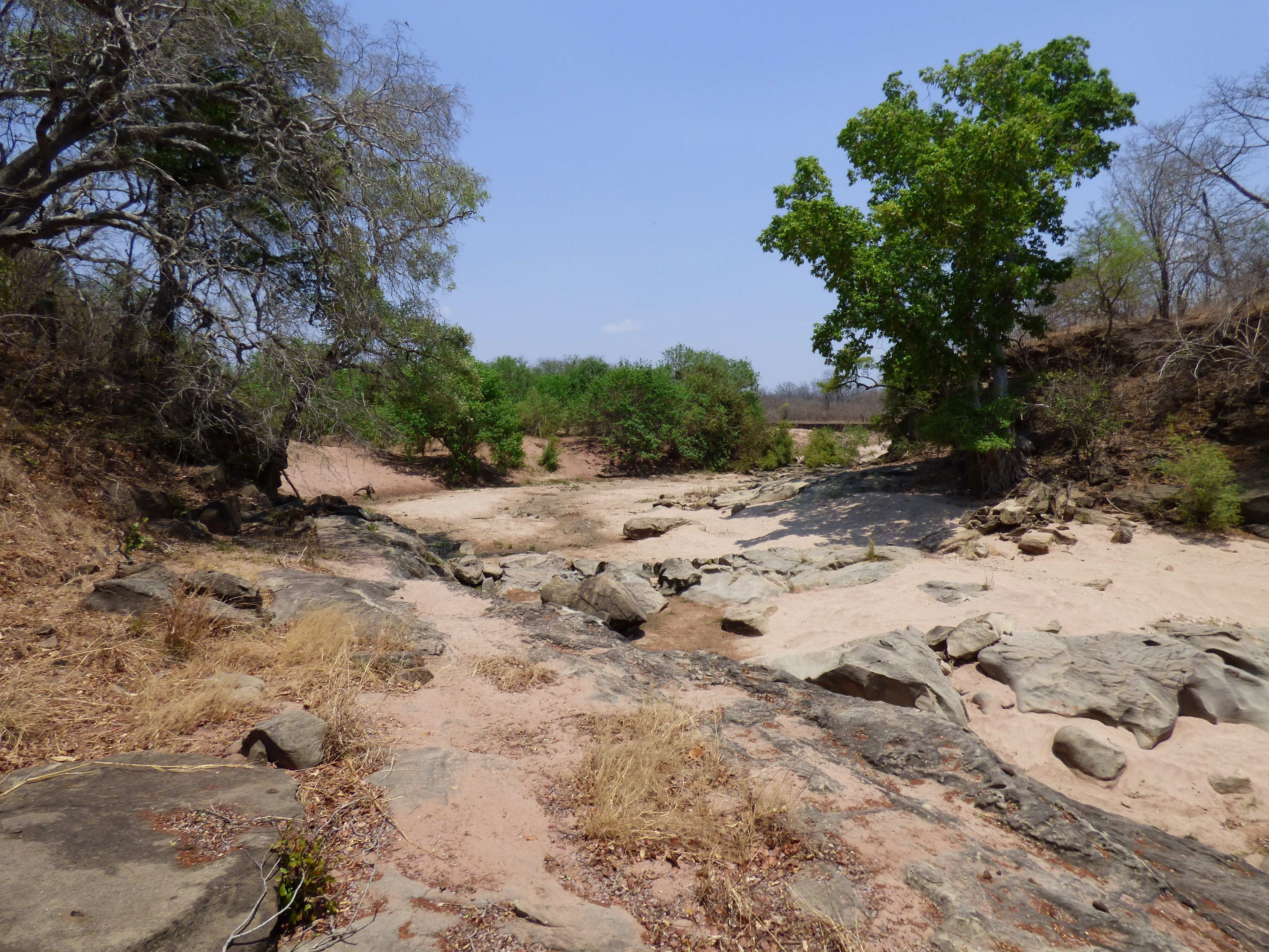 ZIMBABWE: Leopard & Buffalo With Mbalabala Safaris | Page 2 ...