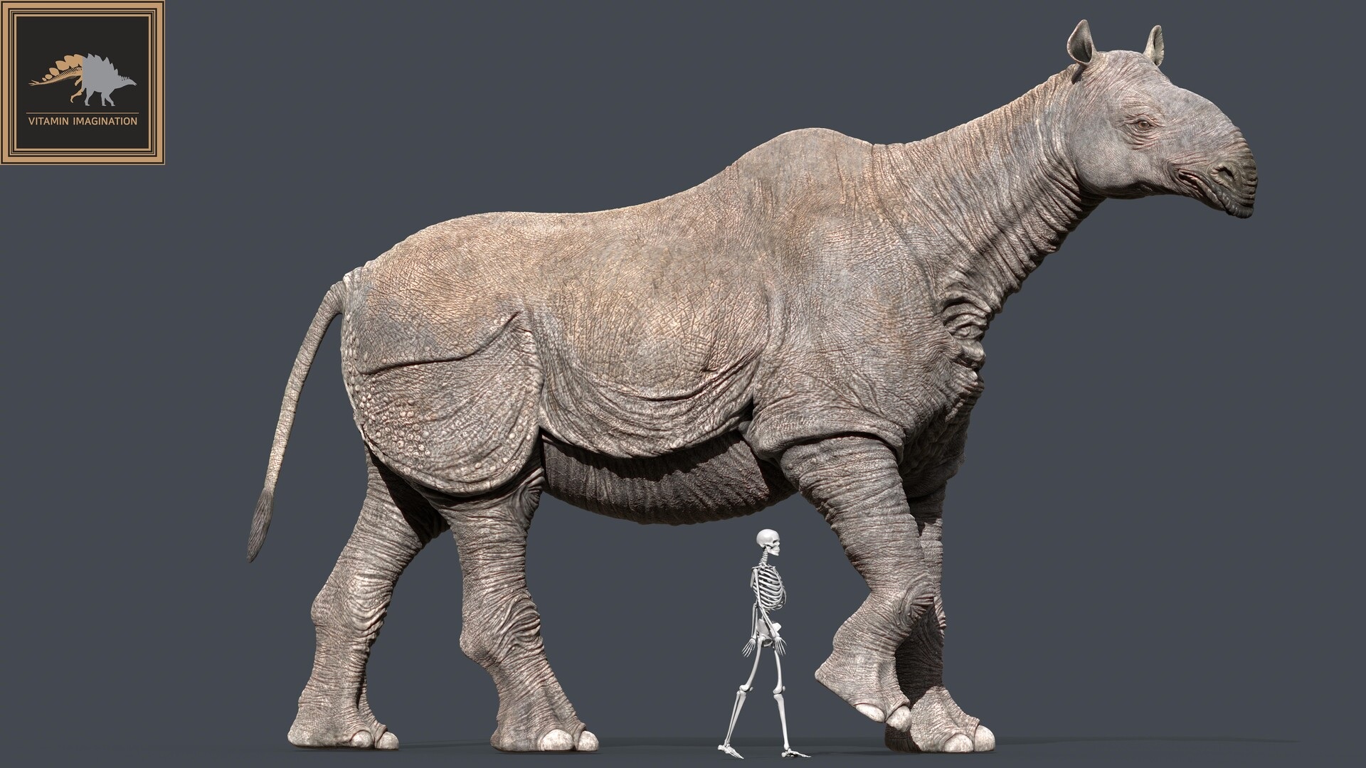 paraceratherium.jpg