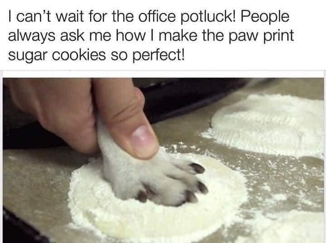 pawprint.jpg