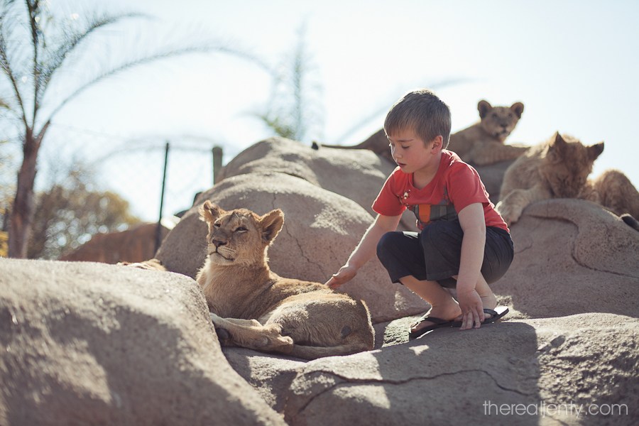 Petting-a-lion-cub-001.jpg