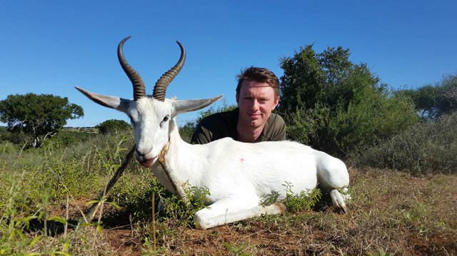 phoca_thumb_l_greig macleod - white springbuck.jpg