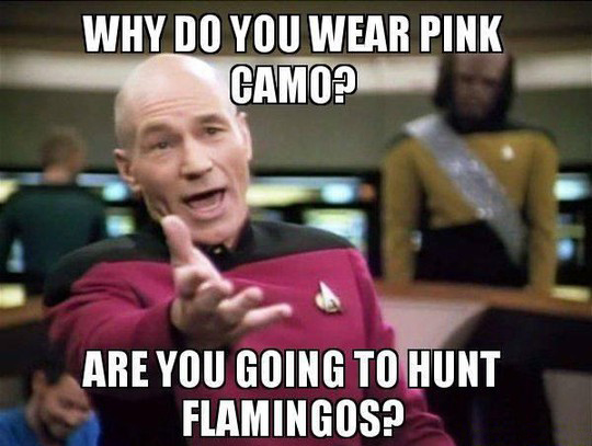 pink camo.jpeg