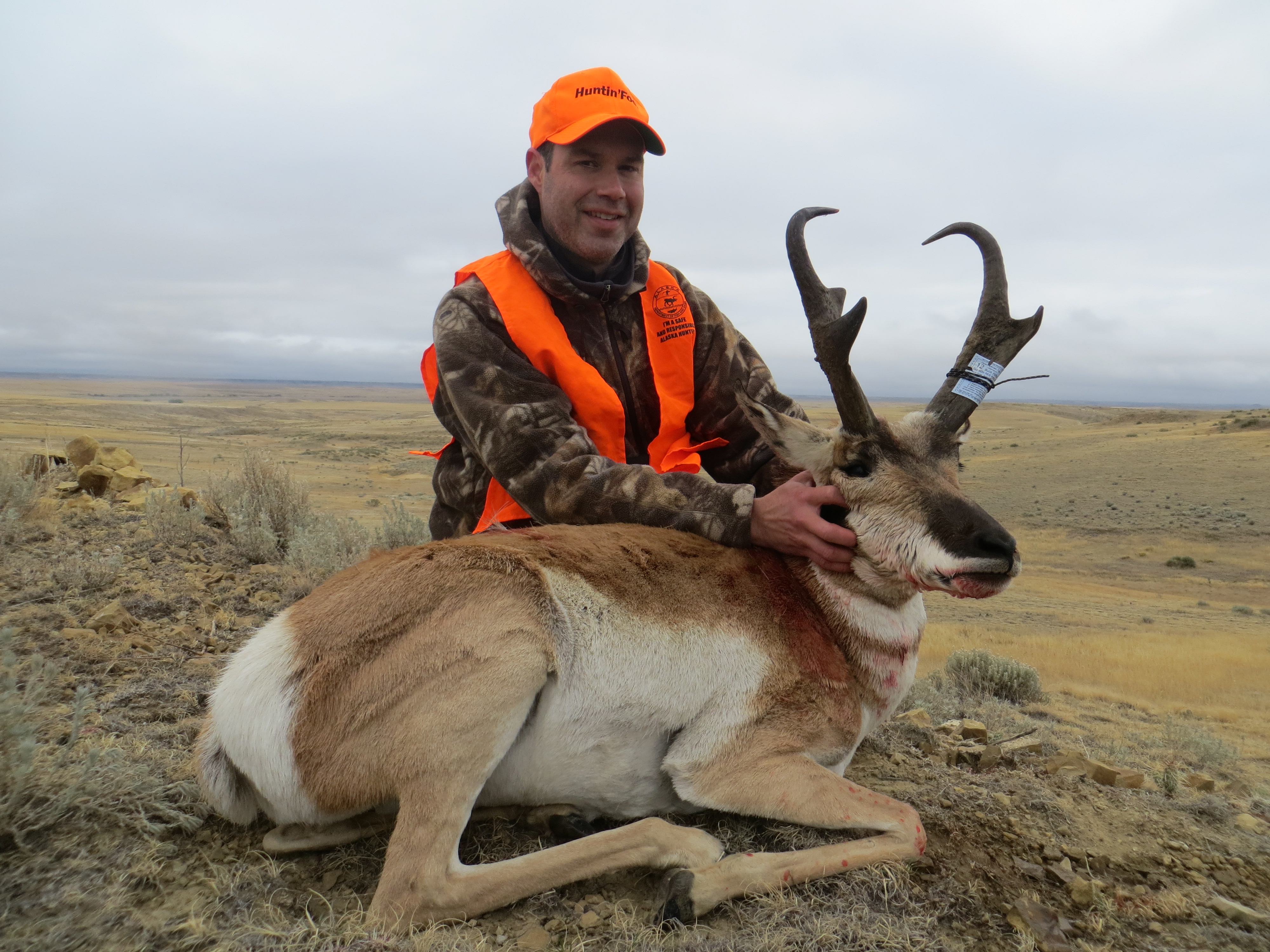 Pronghorn 10-12 018.jpg