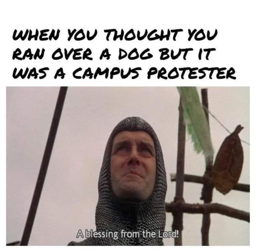 protester meme.jpg