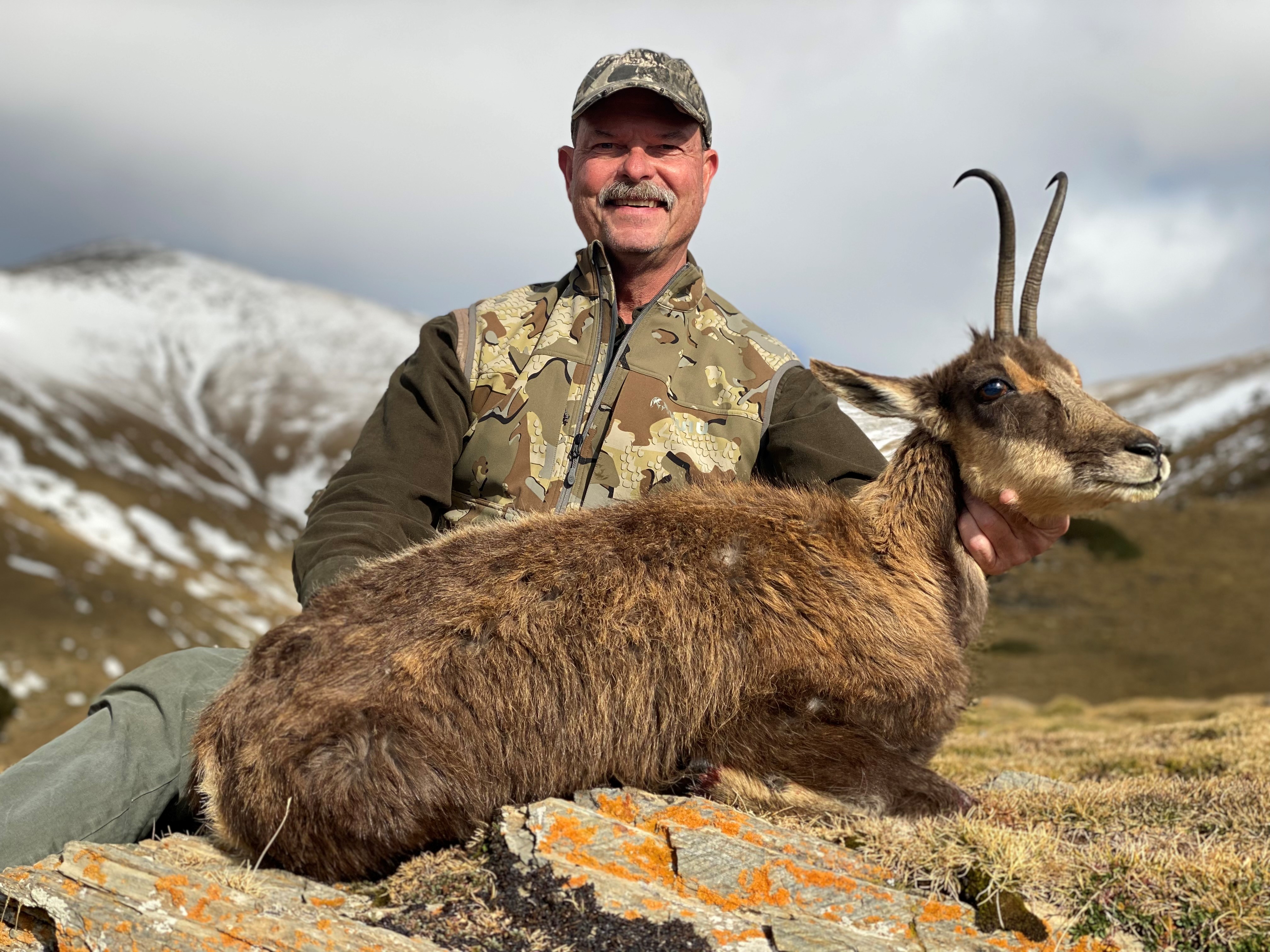 Pyrenean Chamois.jpg