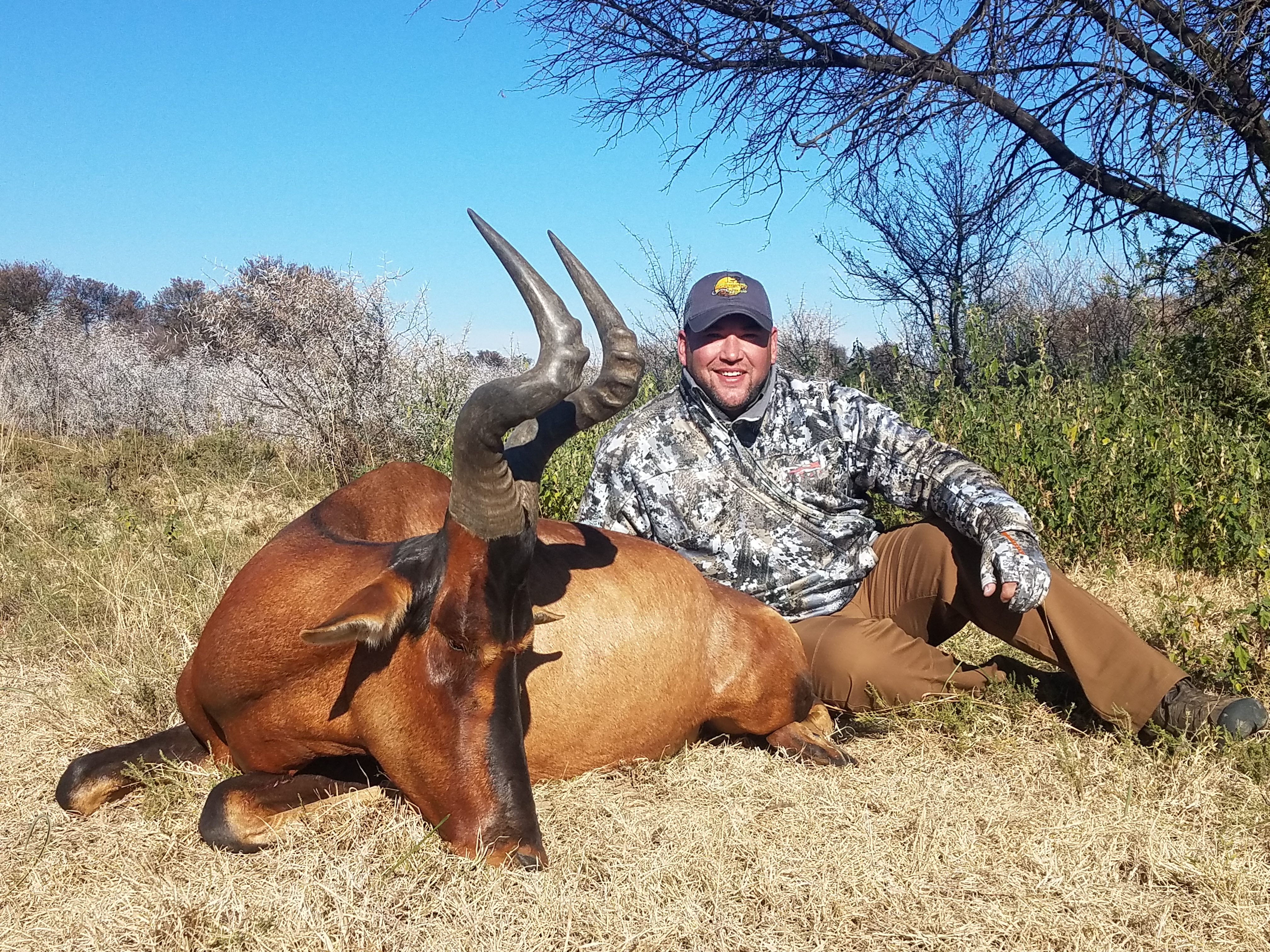 Red Hartebeest.jpg