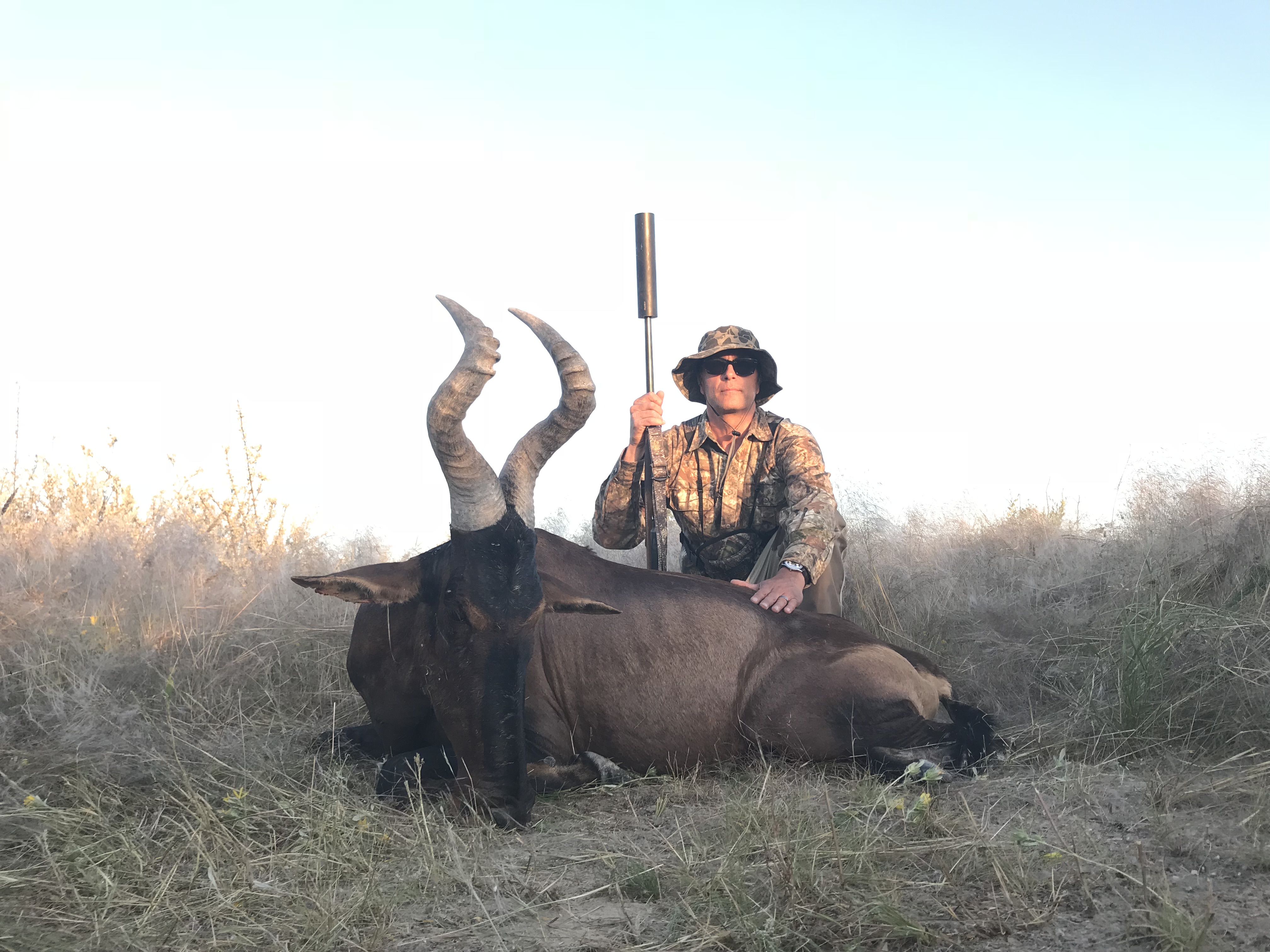 Red Hartebeest.JPG