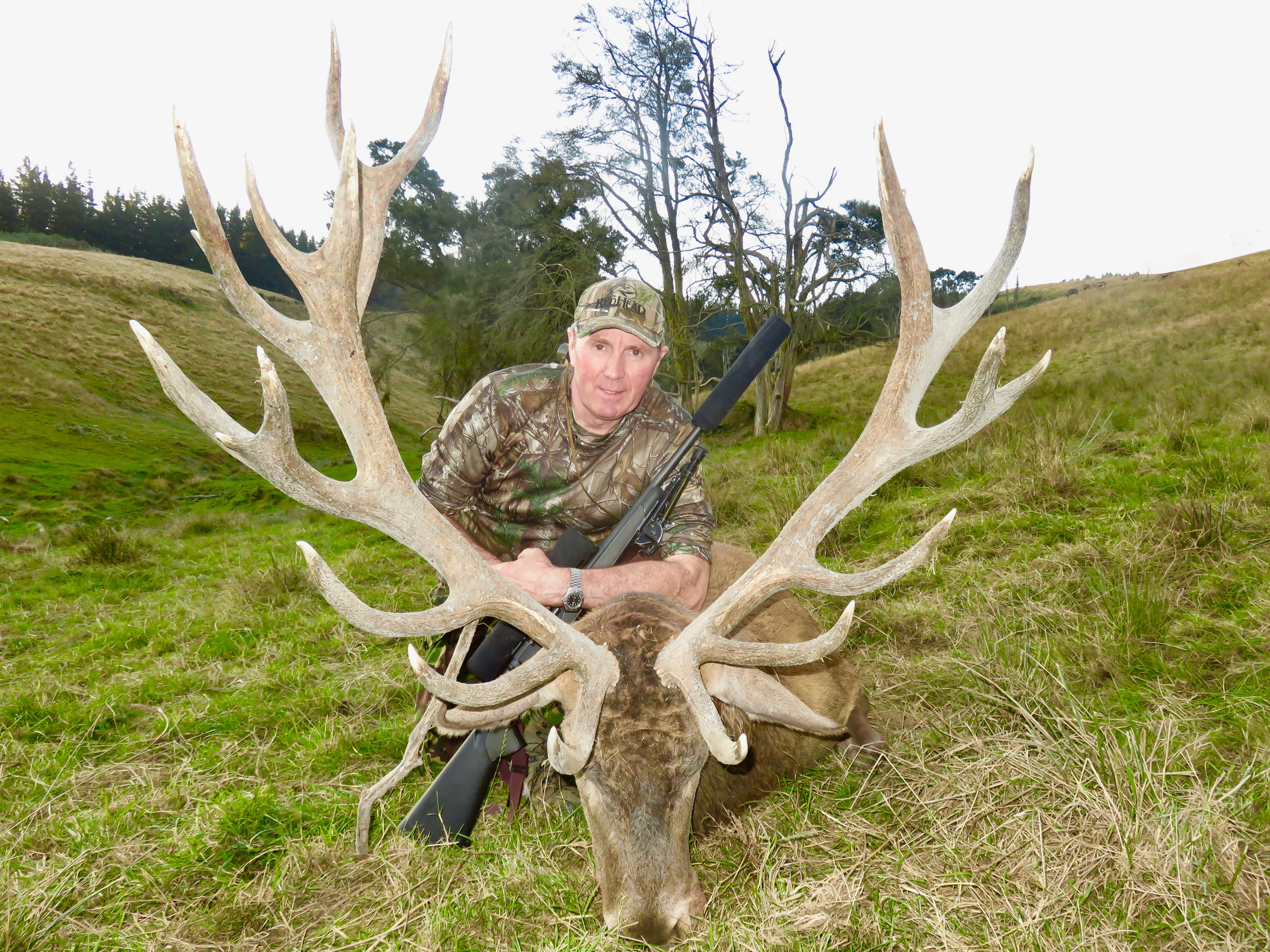 Red Stag 370 inches.jpeg
