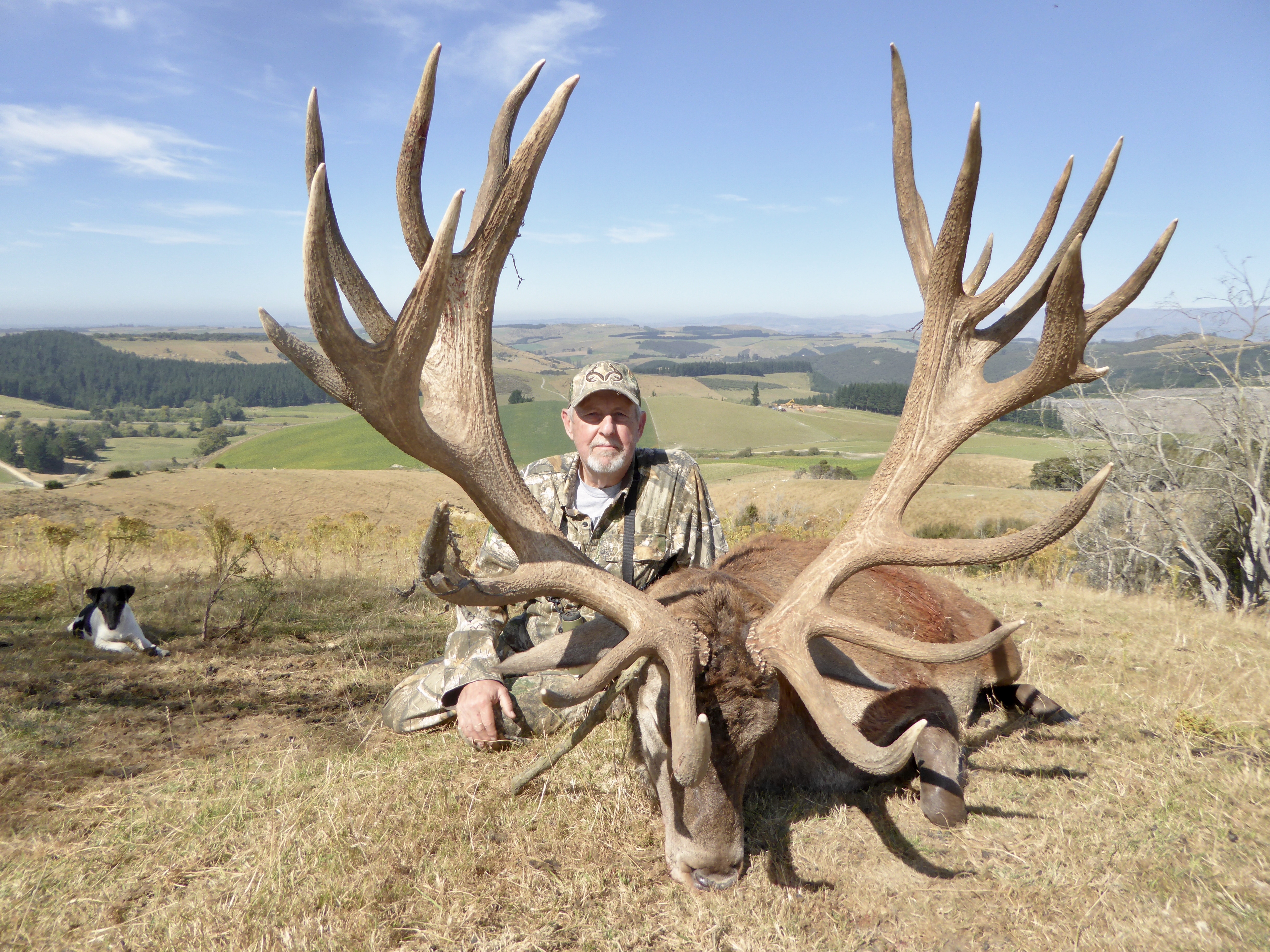 Red Stag 401 inches.jpeg