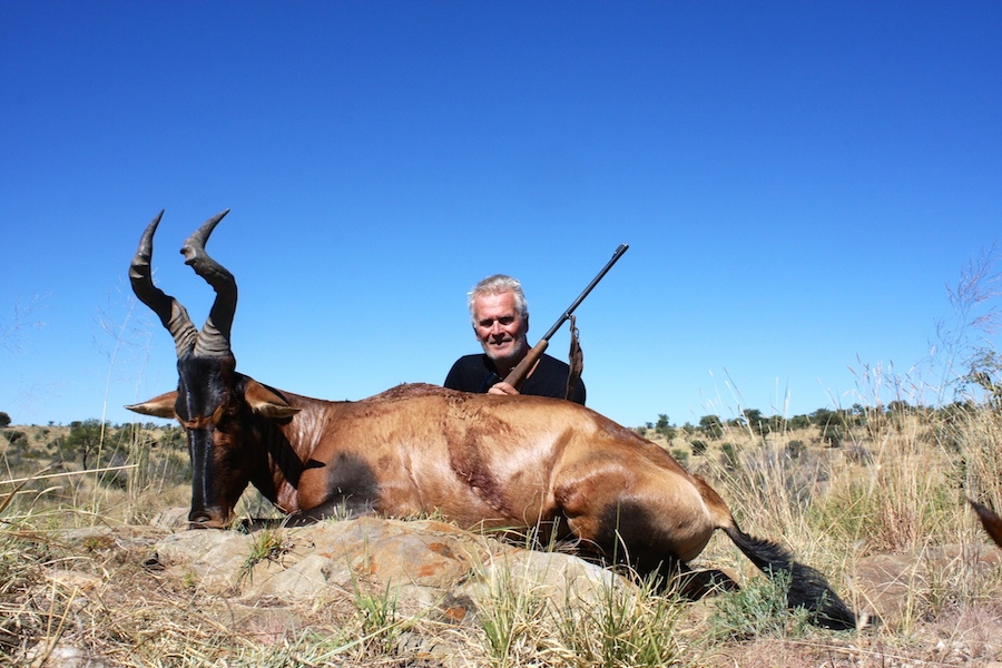 Red_Hartebeest.JPG