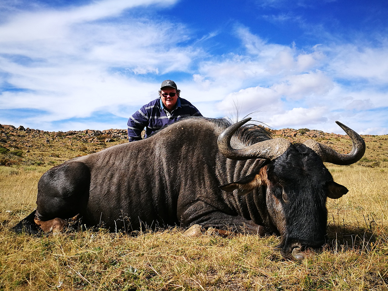 Richard-blue-wildebeest.jpg