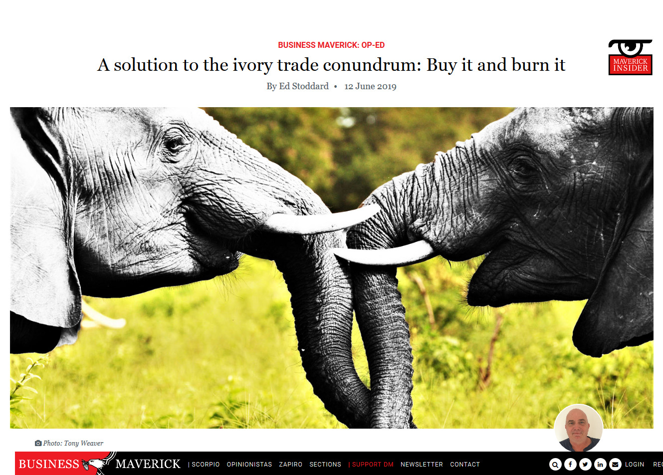 Screenshot_2019-06-21 A solution to the ivory trade conundrum Buy it and burn it.jpg