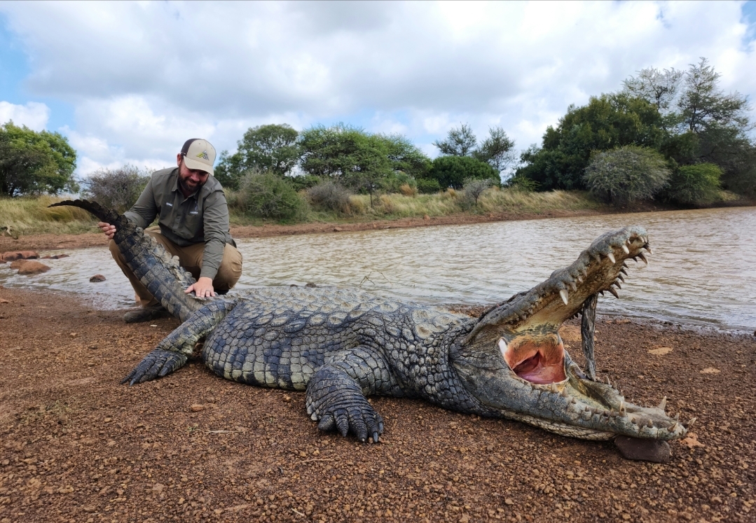 2024 Crocodile Hunting With BAYLY SIPPEL SAFARIS AfricaHunting Com   Screenshot 20231019 133940 Gallery Jpg.564536